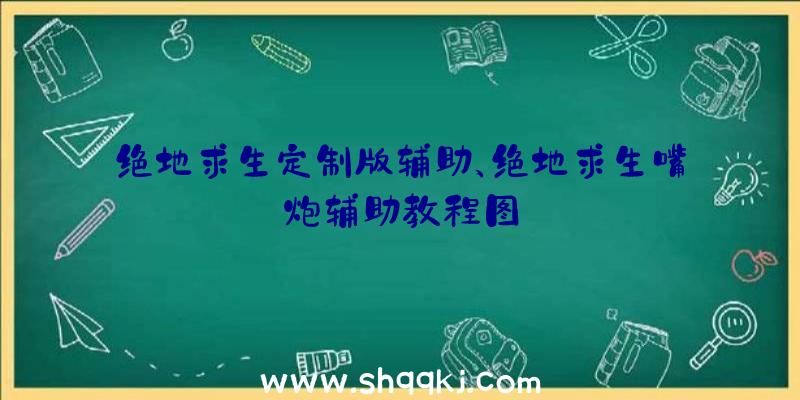 绝地求生定制版辅助、绝地求生嘴炮辅助教程图