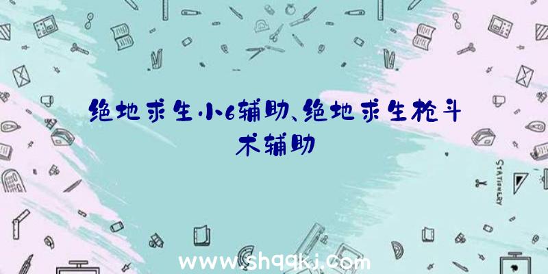 绝地求生小6辅助、绝地求生枪斗术辅助