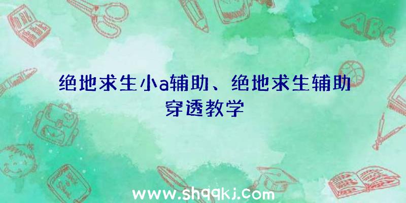 绝地求生小a辅助、绝地求生辅助穿透教学