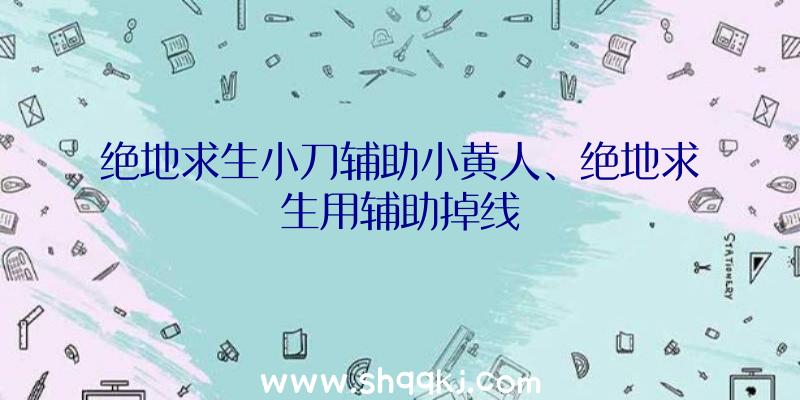 绝地求生小刀辅助小黄人、绝地求生用辅助掉线