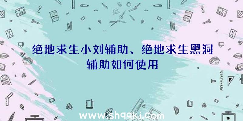 绝地求生小刘辅助、绝地求生黑洞辅助如何使用