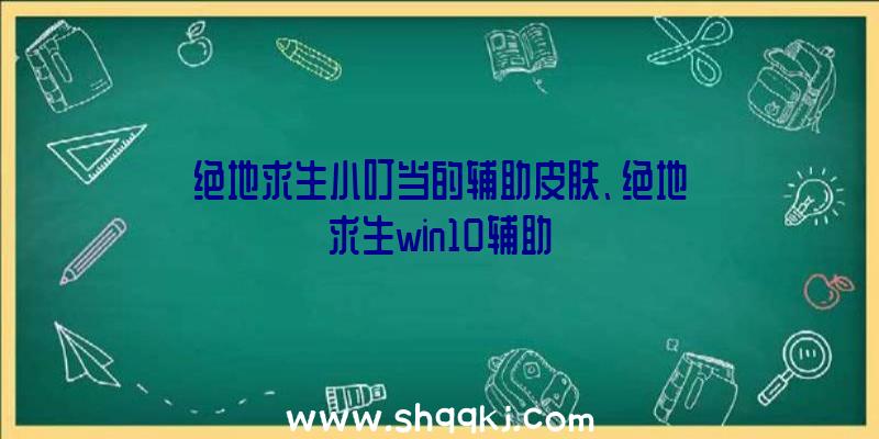 绝地求生小叮当的辅助皮肤、绝地求生win10辅助