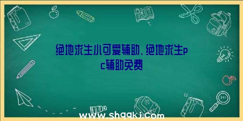 绝地求生小可爱辅助、绝地求生pc辅助免费