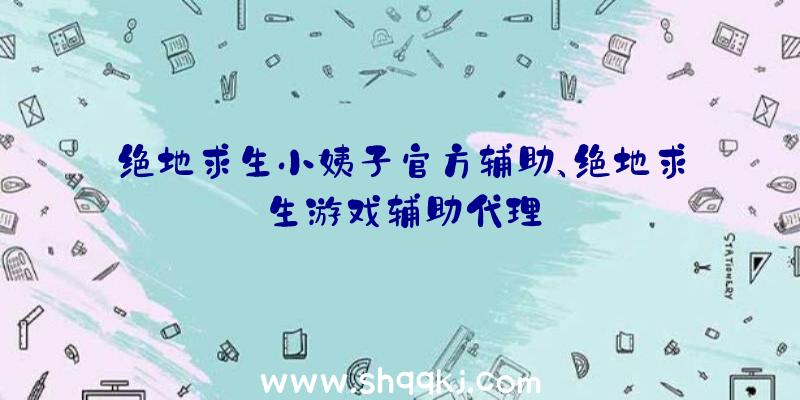 绝地求生小姨子官方辅助、绝地求生游戏辅助代理