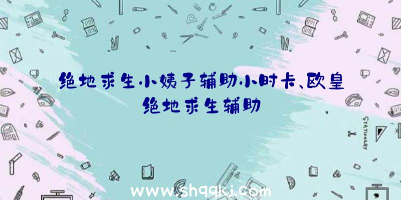 绝地求生小姨子辅助小时卡、欧皇绝地求生辅助