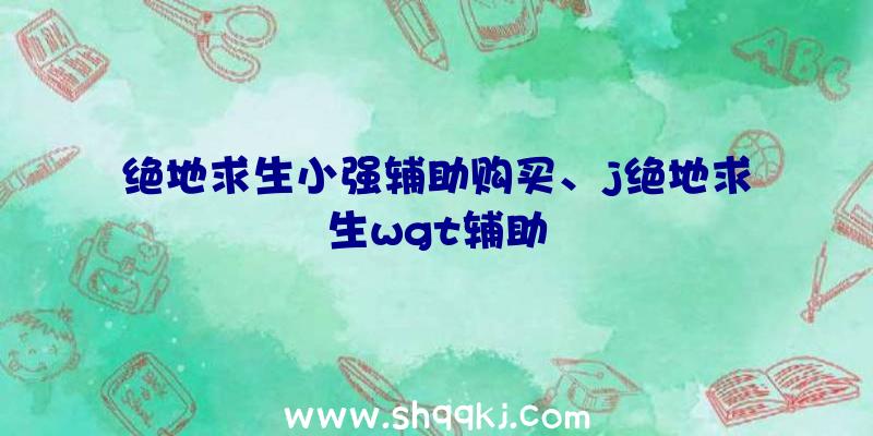 绝地求生小强辅助购买、j绝地求生wgt辅助