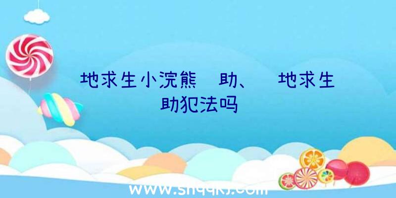 绝地求生小浣熊辅助、绝地求生辅助犯法吗