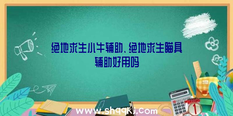 绝地求生小牛辅助、绝地求生瞄具辅助好用吗