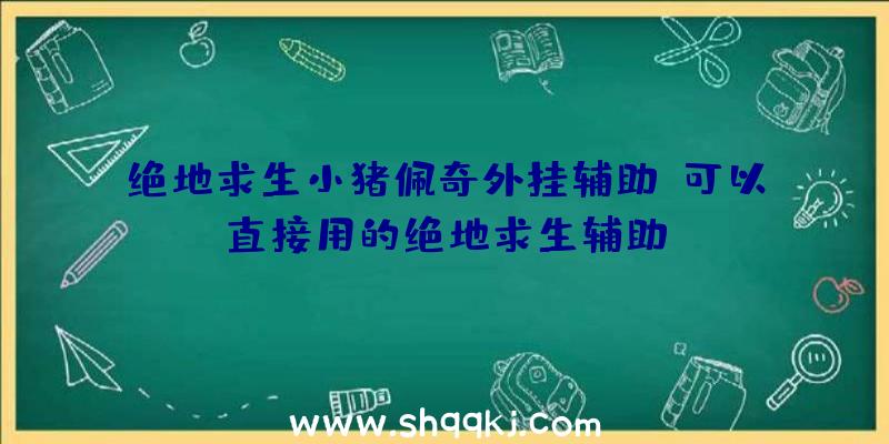 绝地求生小猪佩奇外挂辅助、可以直接用的绝地求生辅助