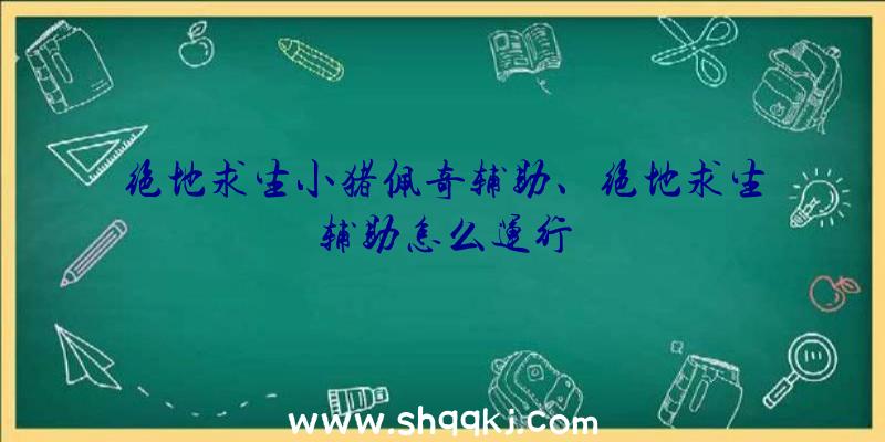 绝地求生小猪佩奇辅助、绝地求生辅助怎么运行