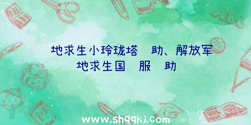 绝地求生小玲珑塔辅助、解放军绝地求生国际服辅助