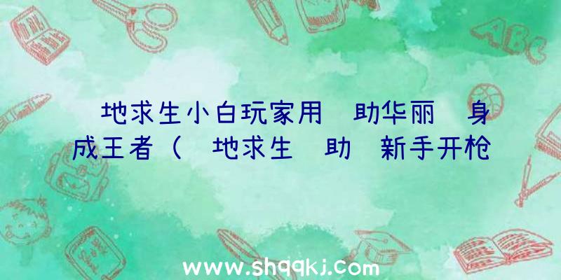 绝地求生小白玩家用辅助华丽转身成王者（绝地求生辅助让新手开枪还可以弹无虚发）