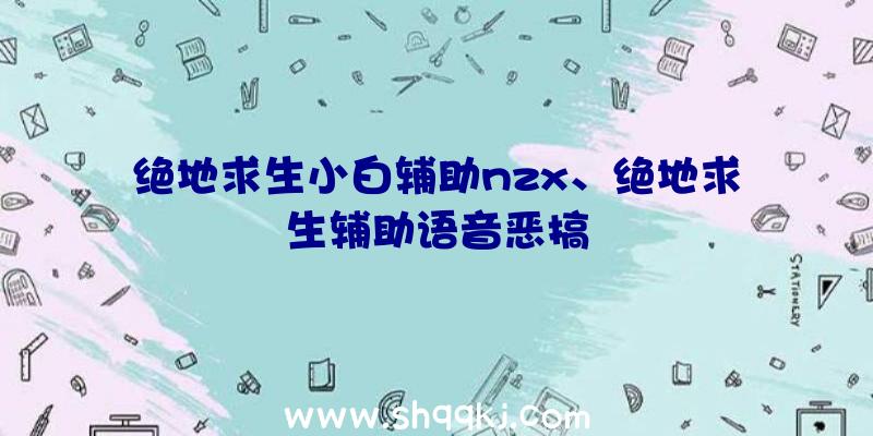 绝地求生小白辅助nzx、绝地求生辅助语音恶搞