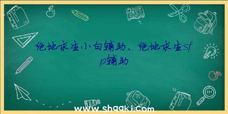 绝地求生小白辅助、绝地求生sfp辅助