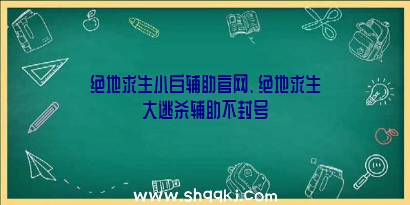 绝地求生小白辅助官网、绝地求生大逃杀辅助不封号