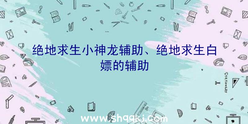 绝地求生小神龙辅助、绝地求生白嫖的辅助