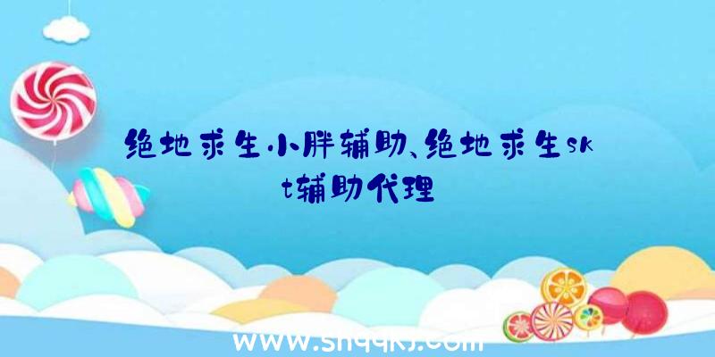 绝地求生小胖辅助、绝地求生skt辅助代理