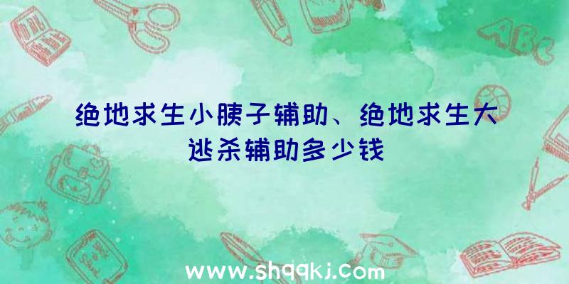 绝地求生小胰子辅助、绝地求生大逃杀辅助多少钱