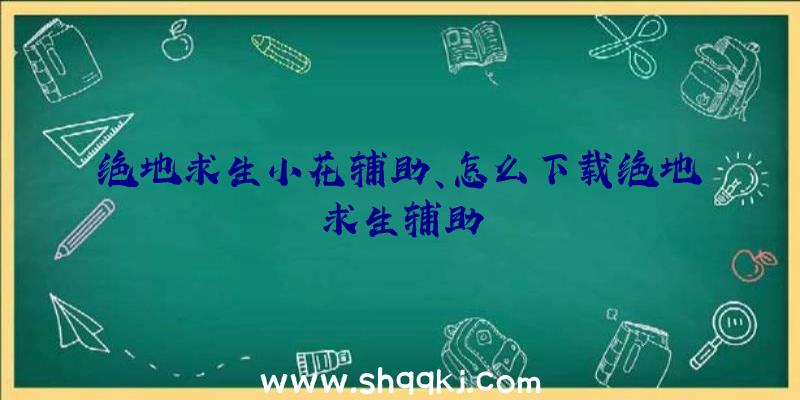 绝地求生小花辅助、怎么下载绝地求生辅助