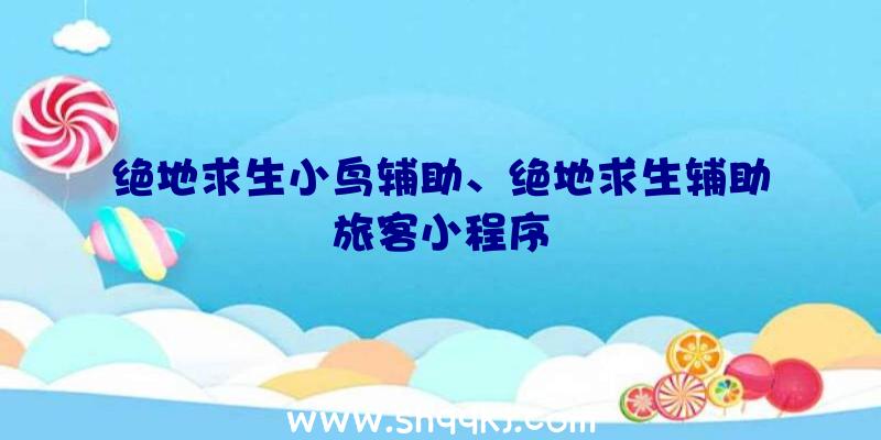 绝地求生小鸟辅助、绝地求生辅助旅客小程序