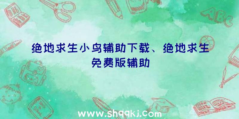 绝地求生小鸟辅助下载、绝地求生免费版辅助