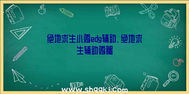 绝地求生小鸡edg辅助、绝地求生辅助鸡腿