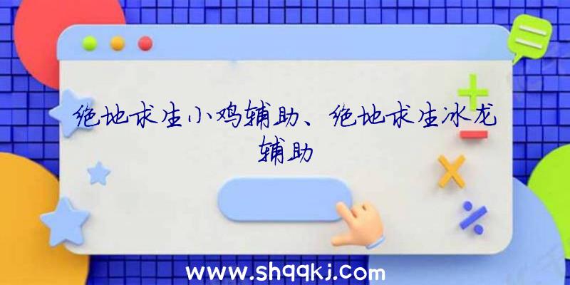 绝地求生小鸡辅助、绝地求生冰龙辅助