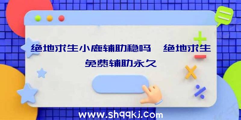 绝地求生小鹿辅助稳吗、绝地求生免费辅助永久