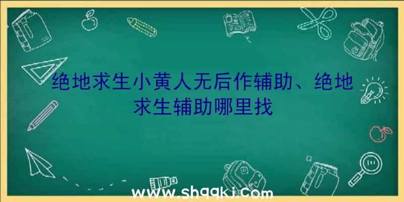 绝地求生小黄人无后作辅助、绝地求生辅助哪里找