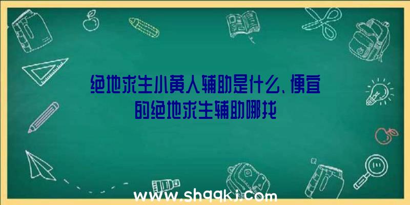 绝地求生小黄人辅助是什么、便宜的绝地求生辅助哪找