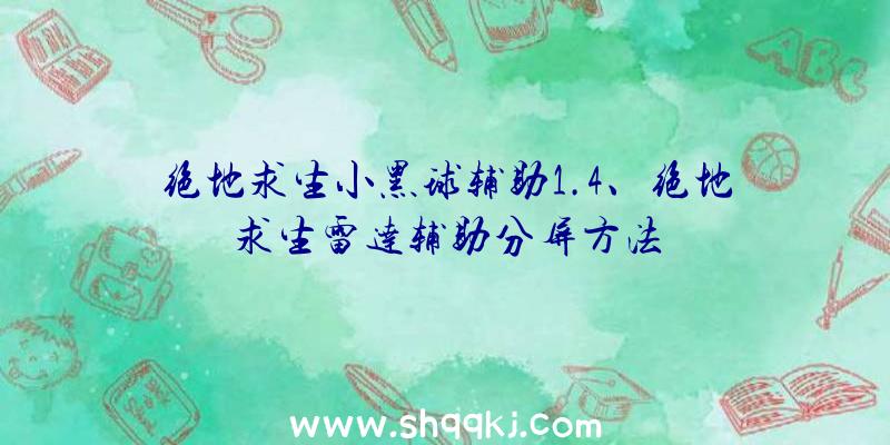 绝地求生小黑球辅助1.4、绝地求生雷达辅助分屏方法