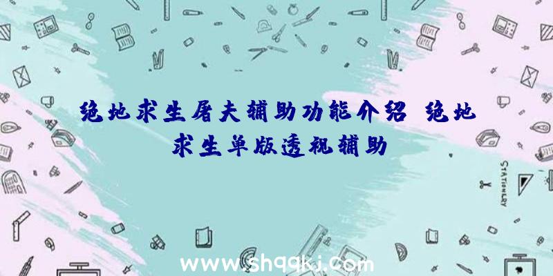 绝地求生屠夫辅助功能介绍、绝地求生单版透视辅助