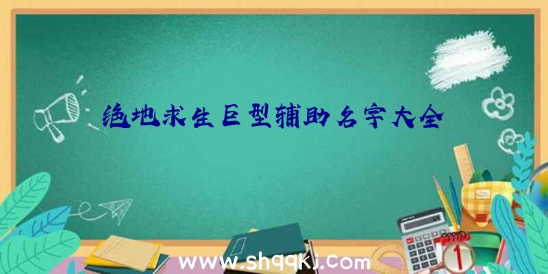 绝地求生巨型辅助名字大全