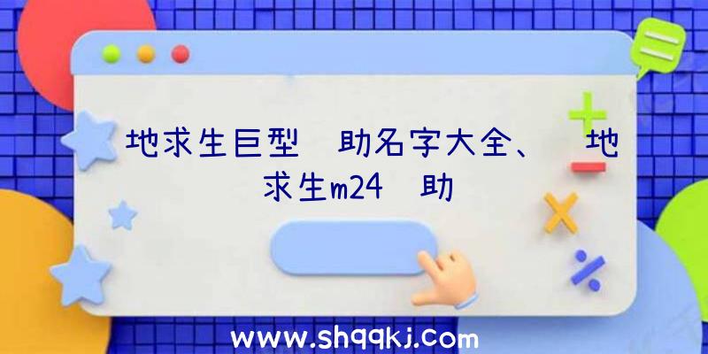 绝地求生巨型辅助名字大全、绝地求生m24辅助