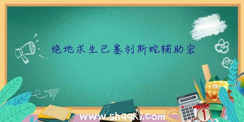 绝地求生巴塞利斯蛇辅助宏