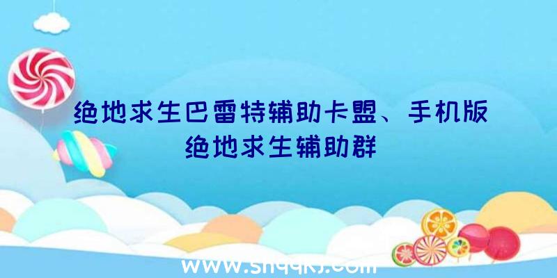 绝地求生巴雷特辅助卡盟、手机版绝地求生辅助群