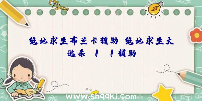 绝地求生布兰卡辅助、绝地求生大逃杀h1z1辅助