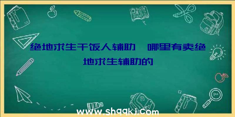 绝地求生干饭人辅助、哪里有卖绝地求生辅助的