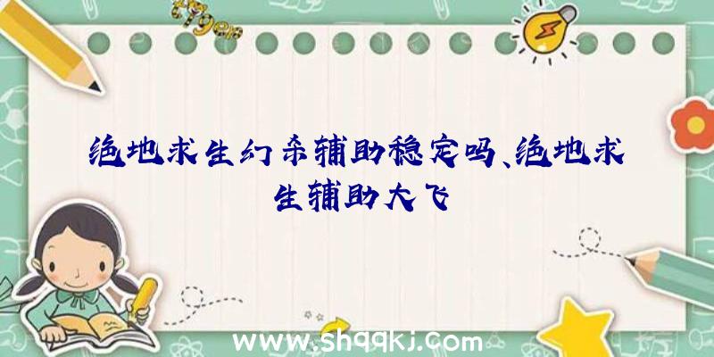 绝地求生幻杀辅助稳定吗、绝地求生辅助大飞