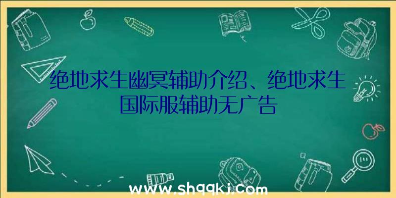 绝地求生幽冥辅助介绍、绝地求生国际服辅助无广告