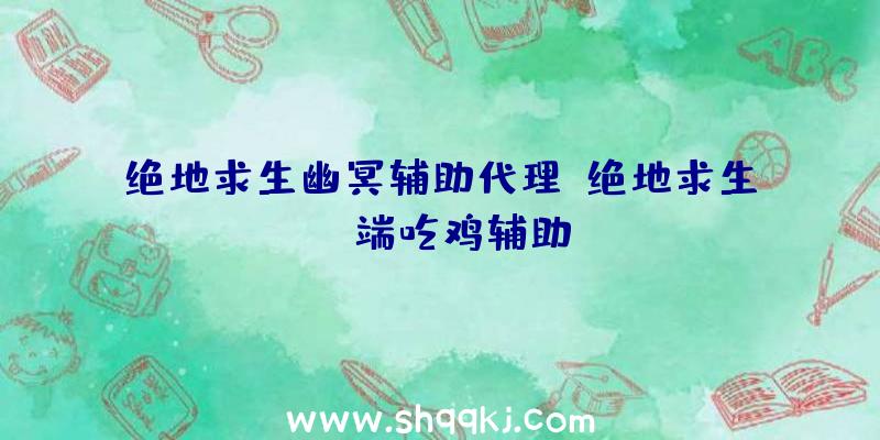 绝地求生幽冥辅助代理、绝地求生pc端吃鸡辅助