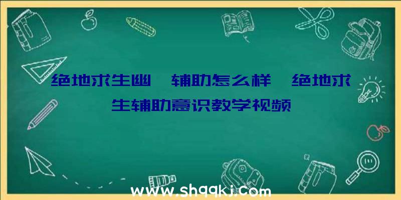 绝地求生幽冥辅助怎么样、绝地求生辅助意识教学视频