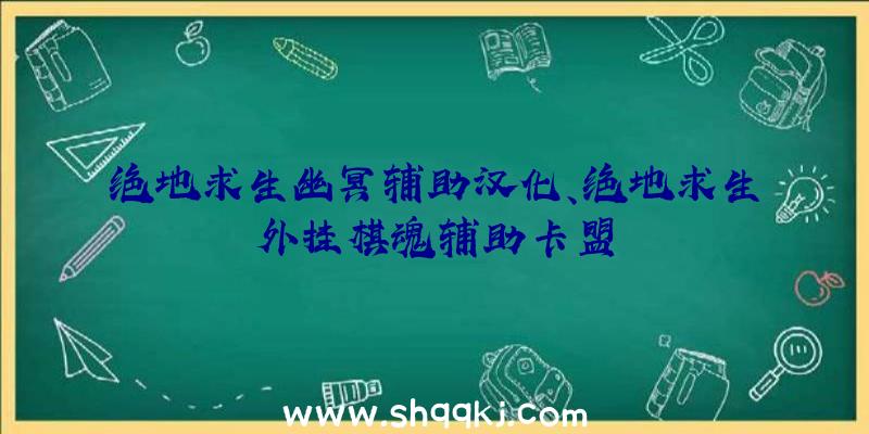 绝地求生幽冥辅助汉化、绝地求生外挂棋魂辅助卡盟