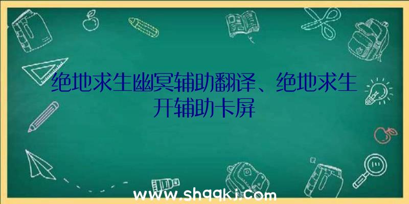 绝地求生幽冥辅助翻译、绝地求生开辅助卡屏