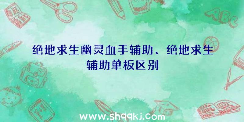 绝地求生幽灵血手辅助、绝地求生辅助单板区别