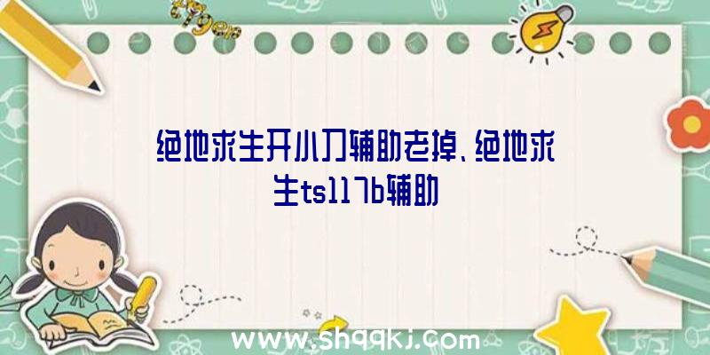 绝地求生开小刀辅助老掉、绝地求生ts117b辅助