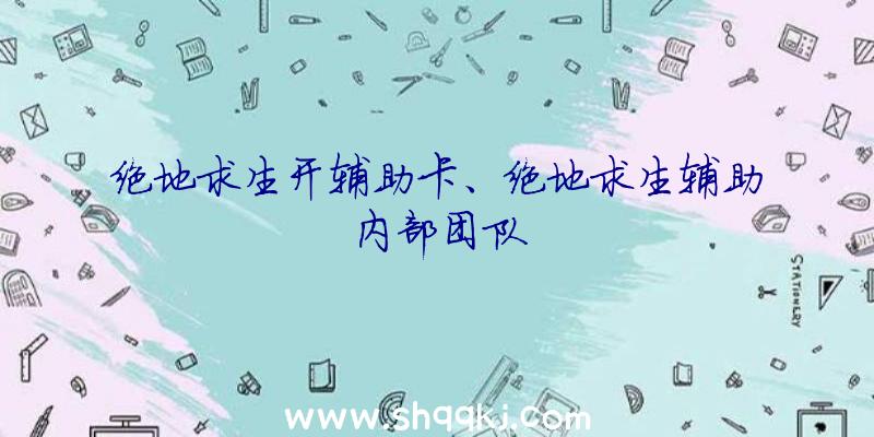 绝地求生开辅助卡、绝地求生辅助内部团队