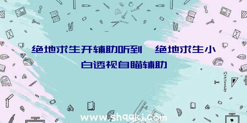 绝地求生开辅助听到、绝地求生小白透视自瞄辅助