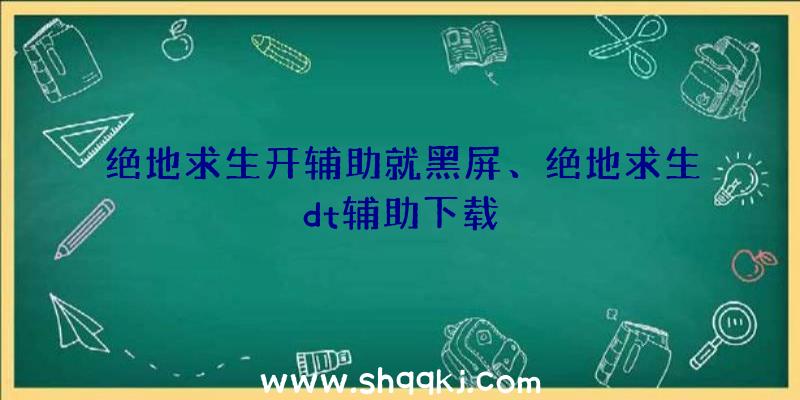 绝地求生开辅助就黑屏、绝地求生dt辅助下载