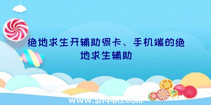 绝地求生开辅助很卡、手机端的绝地求生辅助